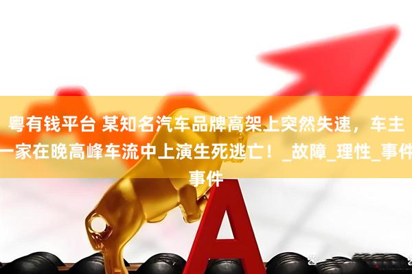 粤有钱平台 某知名汽车品牌高架上突然失速，车主一家在晚高峰车流中上演生死逃亡！_故障_理性_事件